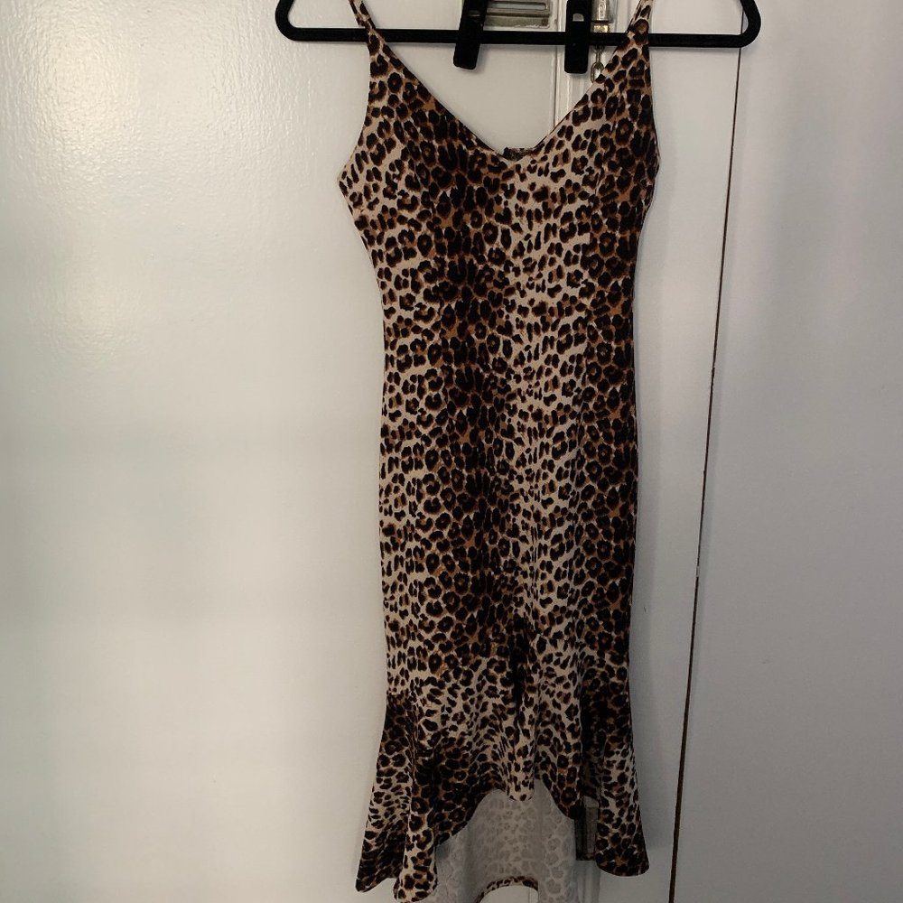 Aqua Leopard Midi Dress